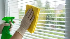 Čím natřít skla, aby se nemusela mýt po každém dešti: metoda s použitím běžně dostupných prostředků