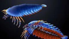 Zkamenelina nalezená ve státě Utah posouvá vznik chelicér – klepet typických pro pavouky a štíry – o 20 milionů let zpět.