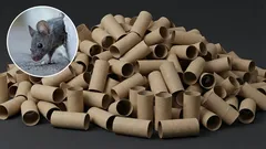  Jak se zbavit myší v domácnosti pomocí držáku na toaletní kartáč: účinná domácí past