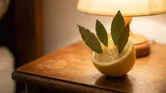  Dej si do pokoje citron s bobkovými listy. Následujícího rána si za to budeš sám sobě vděčný.