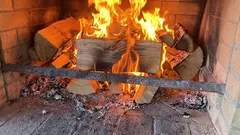 Jaké druhy dřeva se nesmí spalovat doma: tyto druhy nevydávají teplo