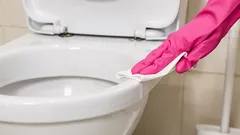 Půl hrnku do toalety – a záchod se leskne: tajemství čistoty bez drahé chemie