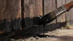 Plot začne hnít u země jako první: starý trik s použitým olejem a co dát místo něj