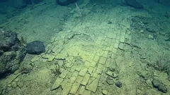 „Žlutá cihlová cesta“ v hlubokomořských oblastech oceánu budí údiv – její vysvětlení na okamžik vyvolává dojem, jako by mořské dno bylo zcela nové.