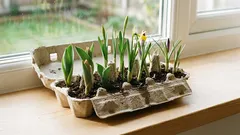 Než vyhodíte krabičku od vajec: za pár minut z ní můžete mít jarní dekoraci na stůl