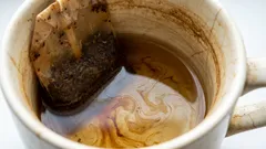 Proč namáčet nádobí s čajovými sáčky: trik od zkušených hospodyňek